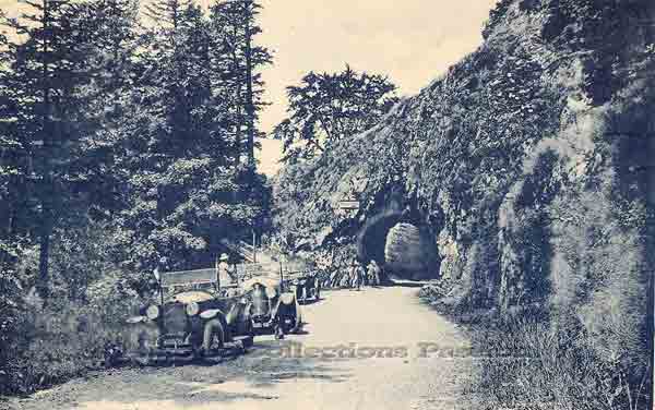 Carte postale
