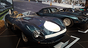 Jaguar Type D - 1957