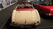 Austin healey 100/4 - 1955