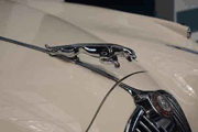 Jaguar Mark II - 1959