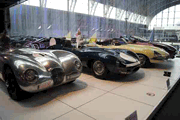 Jaguar Type C - XK 120 C - 1953