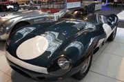 Jaguar Type D - 1955