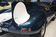 Jaguar Type D - 1955