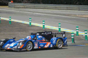 Alpine A460 n° 36