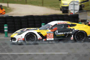 Chevrolet Corvette C7-R n° 50