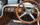 Mercedes 10/40 PS Sport Biplace 1923